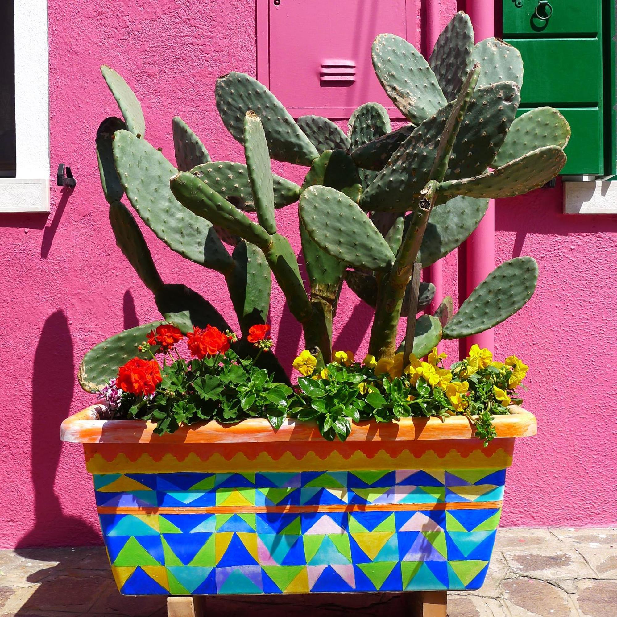 Night Galleria Holiday Home - Bed & Art In Burano - The Pink House Eksteriør bilde